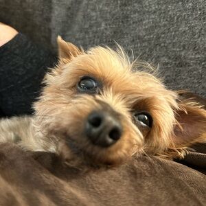 Meet your Posher, Kristin